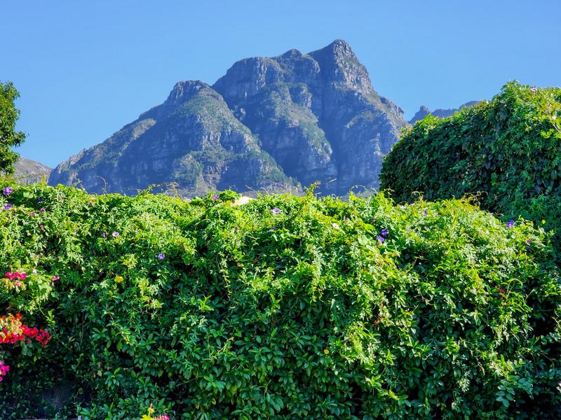 To Let 2 Bedroom Property for Rent in Rondebosch Western Cape